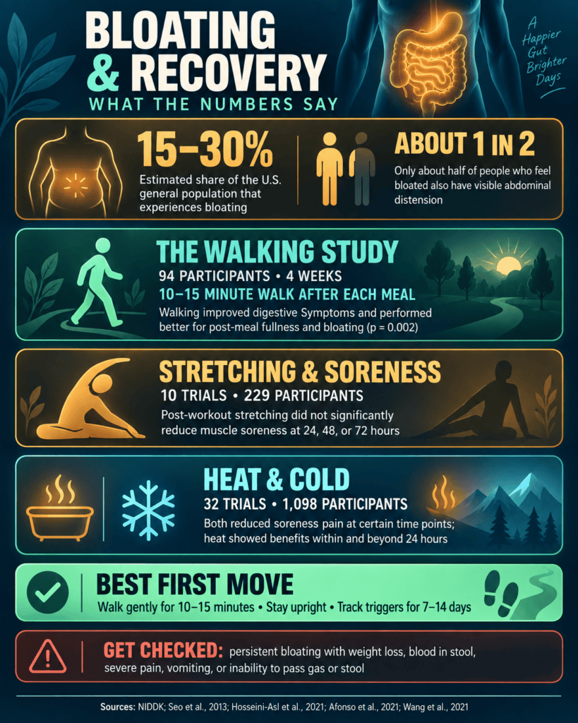 Bloating and muscle recovery statistics with evidence-based relief tips
